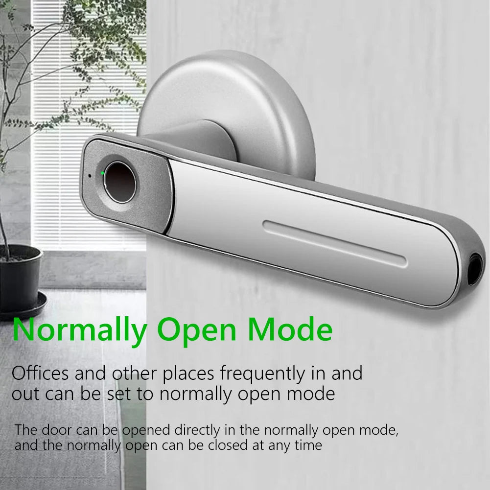 Fingerprint Door Lock Handle USB Rechargeable Anti Theft Smart Electric Biometric Keyless Security Entry with 2 Keys for Home