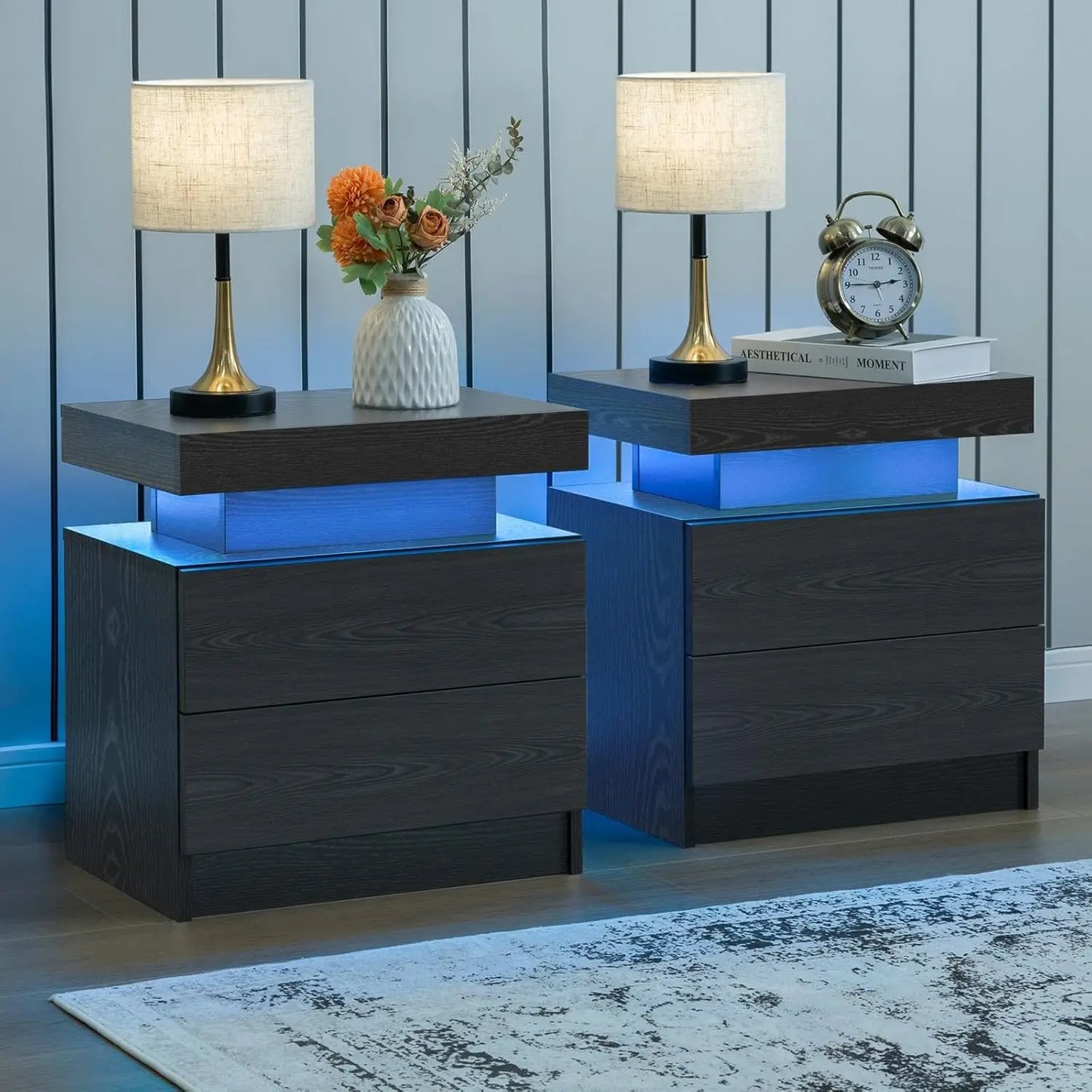 LED Nightstand Set of 2 with 2 Drawers, Bedside Table with Drawers for Bedroom Furniture, Side Bed Table