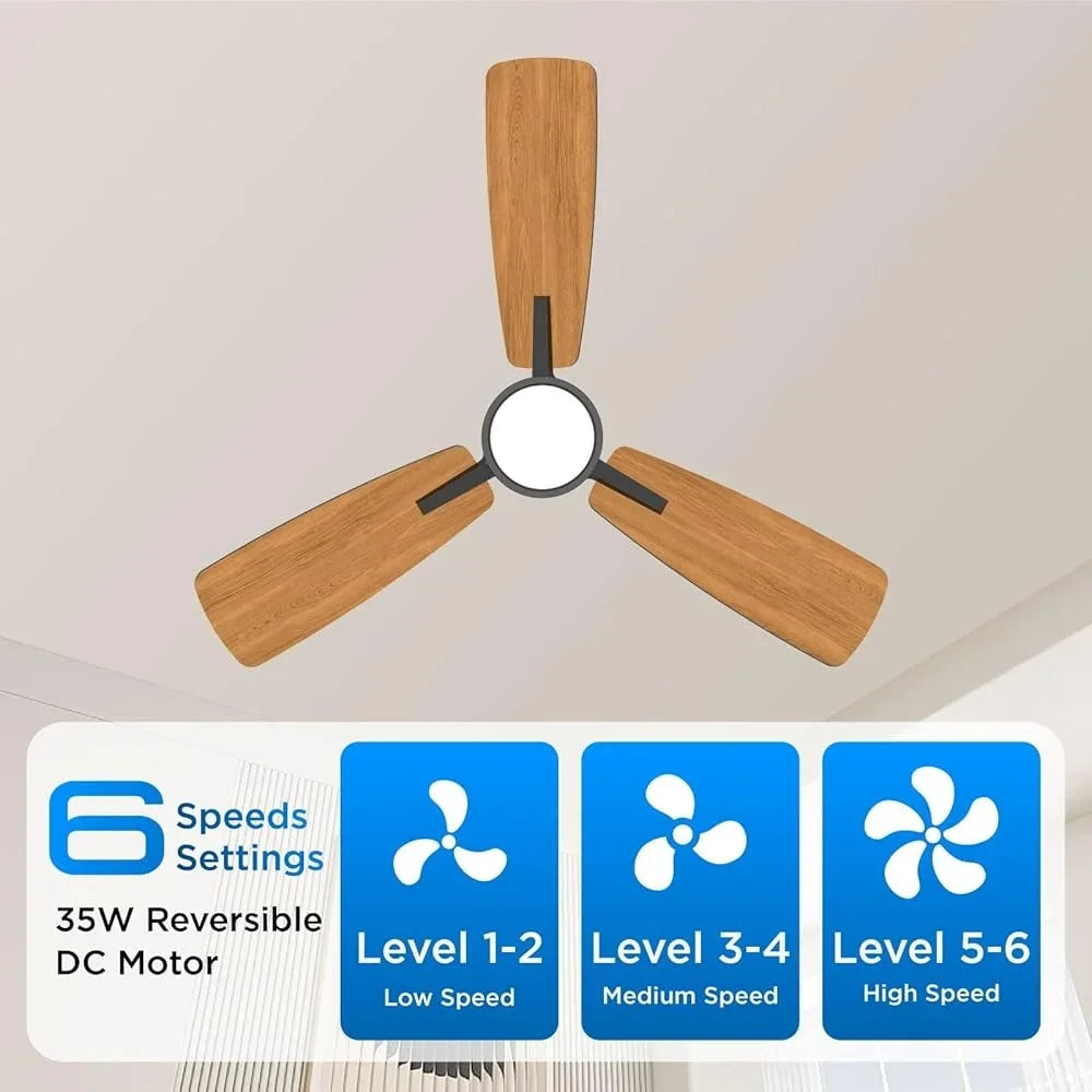 Modern Ceiling Fan with Lights Quiet Reversible Motor Energy Efficient 6 Speeds Timer Easy Installation High Airflow Low Noise