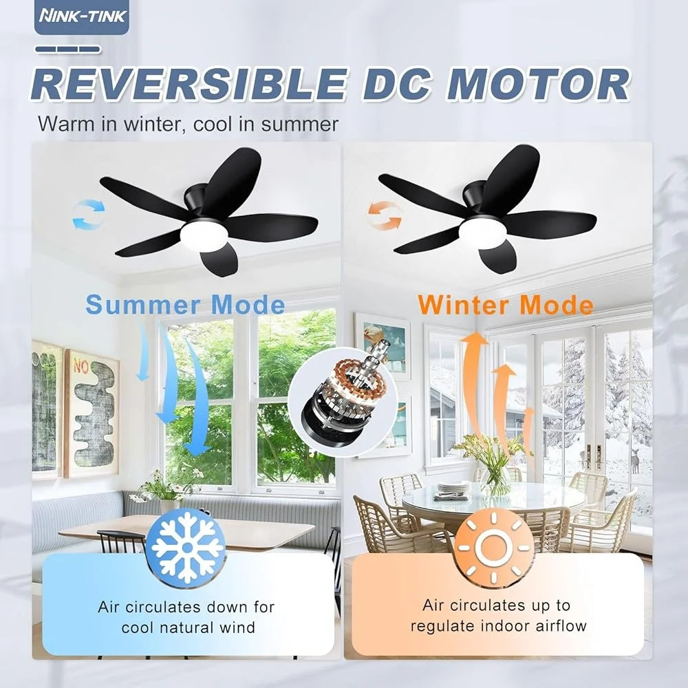 Small Ceiling Fan with Lights Remote Control Low Profile 35 Inch Flush Mount 6 Speed Reversible DC Motor Quiet LED Light Timer