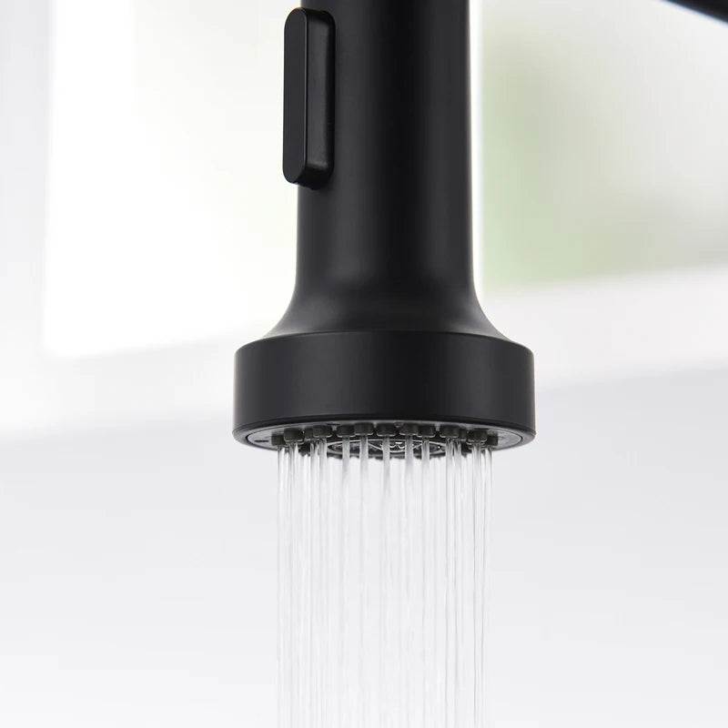 Black Kitchen Faucet 360 Degree Rotation Hot And Cold Wash Basin Tap With Pull Down Sprayer Single Handle Single Lever
